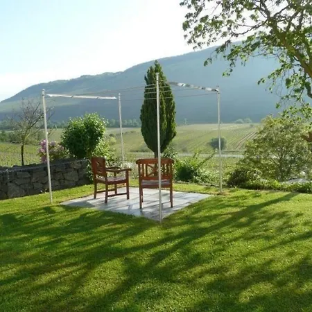 Moderne Helle Mit Terrasse Und Herrlichem Moselblick Lägenhet *
