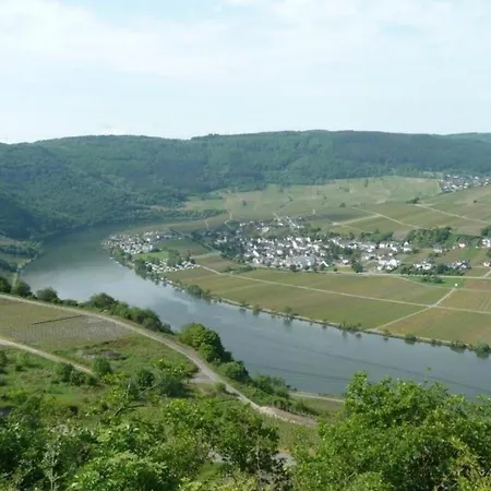 Moderne Helle Mit Terrasse Und Herrlichem Moselblick Polich
